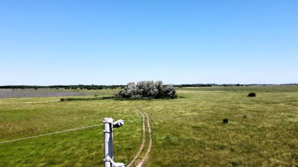 Campo de 60 Hectáreas en Ruta 6 km 82