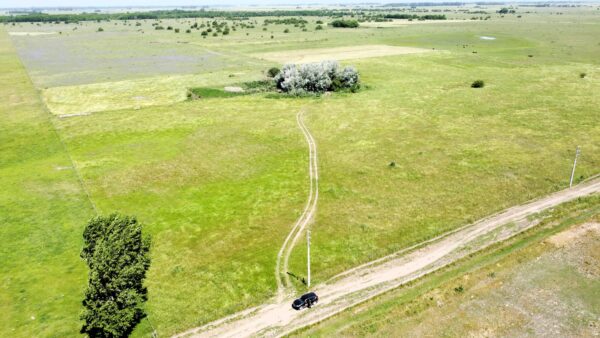 Campo de 60 Hectáreas en Ruta 6 km 82 - Imagen 27