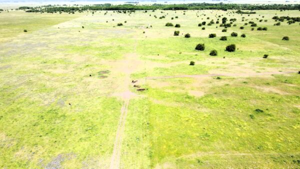 Campo de 60 Hectáreas en Ruta 6 km 82 - Imagen 22