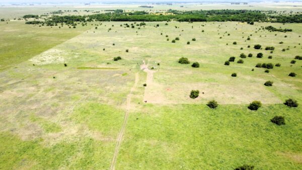 Campo de 60 Hectáreas en Ruta 6 km 82 - Imagen 23