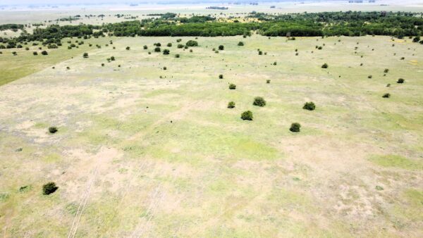 Campo de 60 Hectáreas en Ruta 6 km 82 - Imagen 24