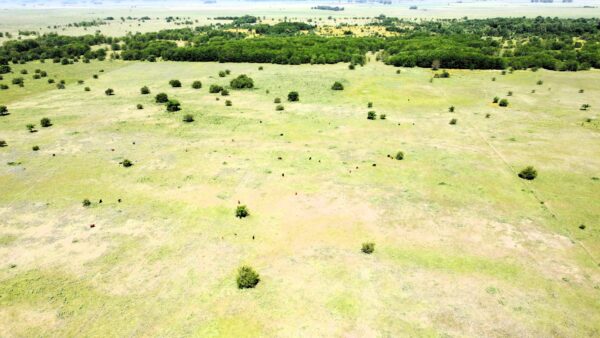 Campo de 60 Hectáreas en Ruta 6 km 82 - Imagen 25