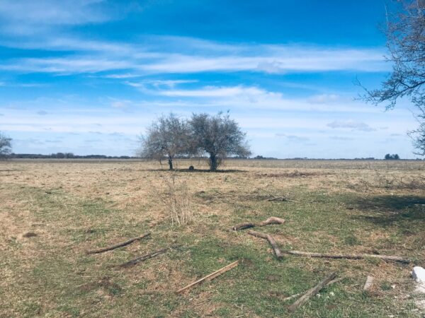 Campo de 60 Hectáreas en Ruta 6 km 82 - Imagen 8