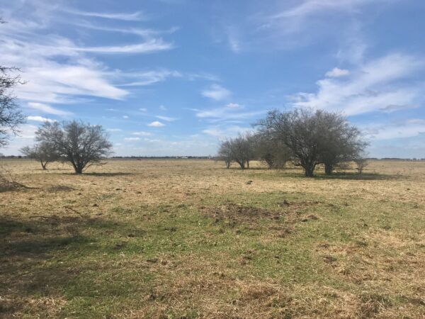 Campo de 60 Hectáreas en Ruta 6 km 82 - Imagen 9