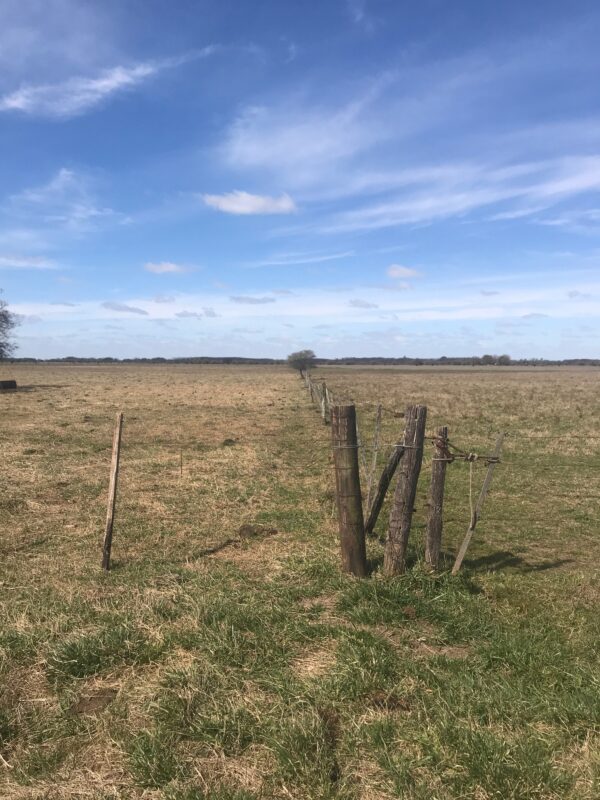 Campo de 60 Hectáreas en Ruta 6 km 82 - Imagen 11