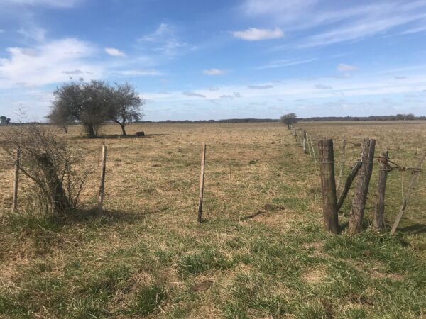 Campo de 60 Hectáreas en Ruta 6 km 82 - Imagen 12