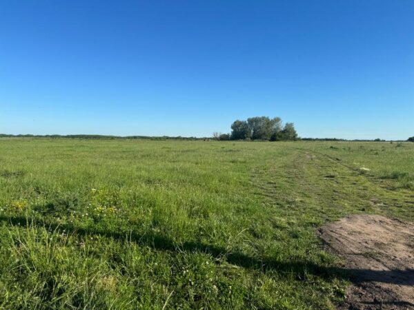 Campo de 60 Hectáreas en Ruta 6 km 82 - Imagen 15