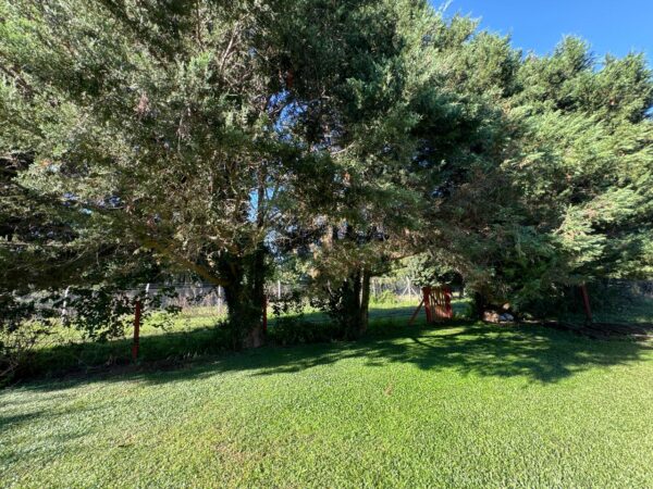 Casa en Venta Club de Campo La Tacuara, Lote 8. Ruta 205, km 56. a 15’ del centro de Cañuelas. - Imagen 6