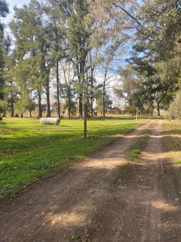 Fracción de 5.77 has con Mejoras en Ruta 3 km 70.200 - Imagen 24