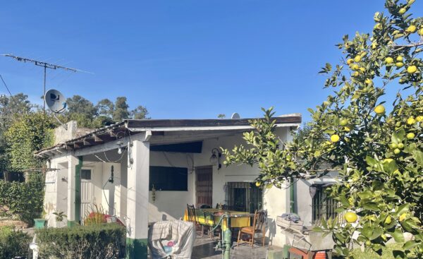 Casa Pequeña sobre lote en PH. de 300m2 Los Plátanos 156