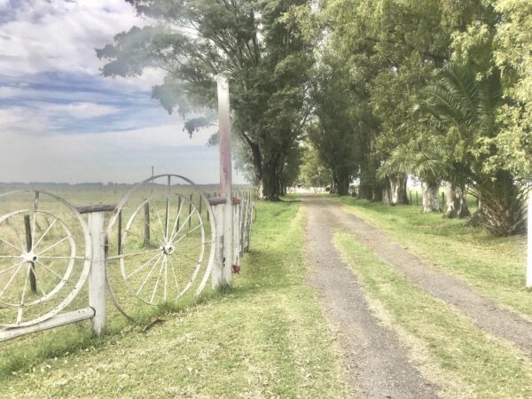 70 Has en Venta en paraje el Taladro.