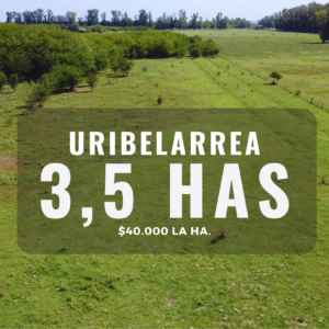 Excelente Fracción de Campo de 3.5Has limpias e Independientes en Uribelarrea.